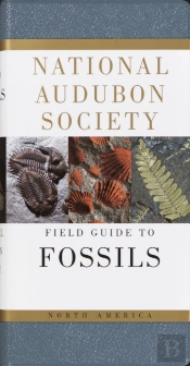 National Audubon Society Field Guide To Fossils