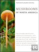 National Audubon Society Mushrooms Of North America