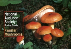 Bertrand.pt - National Audubon Society Pocket Guide: Familiar Mushrooms