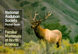 Bertrand.pt - National Audubon Society Pocket Guide To Familiar Mammals