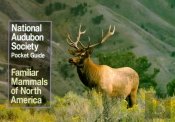 National Audubon Society Pocket Guide To Familiar Mammals