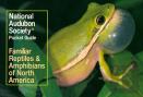National Audubon Society Pocket Guide To Familiar Reptiles And Amphibians