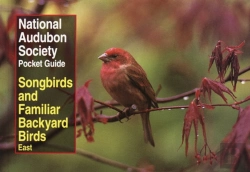 Bertrand.pt - National Audubon Society Pocket Guide To Songbirds And Familiar Backyard Birds: Eastern Region