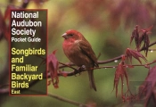 National Audubon Society Pocket Guide To Songbirds And Familiar Backyard Birds: Eastern Region