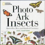 National Geographic Photo Ark Insects