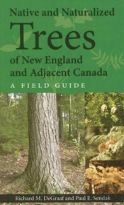 Native And Naturalized Trees Of New England And Adjacent Canada