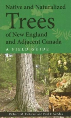 Bertrand.pt - Native And Naturalized Trees Of New England And Adjacent Canada