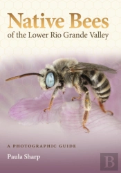Native Bees Of The Lower Rio Grande Valley