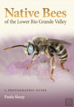 Bertrand.pt - Native Bees Of The Lower Rio Grande Valley