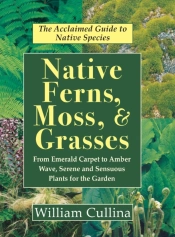 Native Ferns, Moss, And Grasses