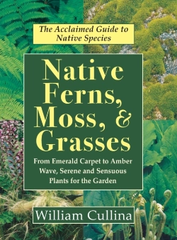 Bertrand.pt - Native Ferns, Moss, And Grasses