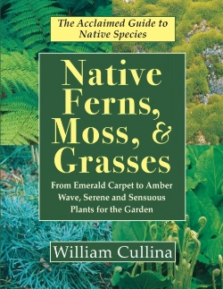 Bertrand.pt - Native Ferns, Moss, And Grasses
