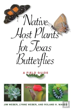 Bertrand.pt - Native Host Plants For Texas Butterflies