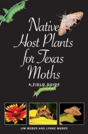 Native Host Plants For Texas Moths