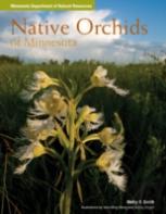 Native Orchids Of Minnesota
