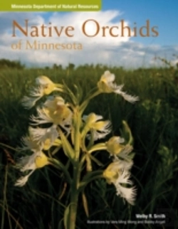 Bertrand.pt - Native Orchids Of Minnesota