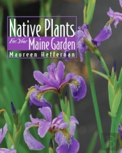 Native Plants For Your Maine Gpb