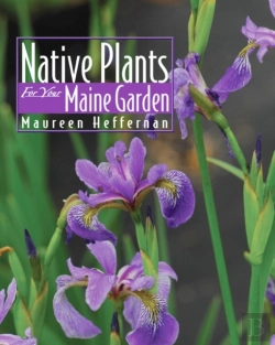 Bertrand.pt - Native Plants For Your Maine Gpb