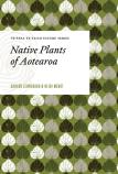 Native Plants Of Aotearoa