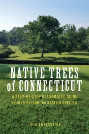 Native Trees Of Connecticut