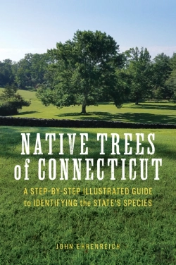 Bertrand.pt - Native Trees Of Connecticut