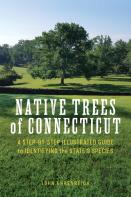 Native Trees Of Connecticut