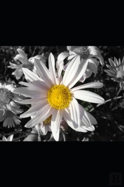Bertrand.pt - Natural Acts Of Kindness