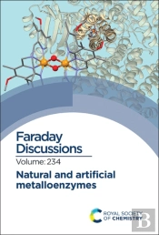 Natural And Artificial Metalloenzymes