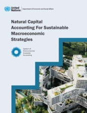 Natural Capital Accounting For Sustainable Macroeconomic Strategies