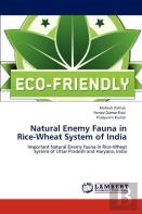Natural Enemy Fauna In Rice-Wheat System Of India