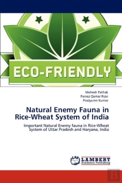 Bertrand.pt - Natural Enemy Fauna In Rice-Wheat System Of India