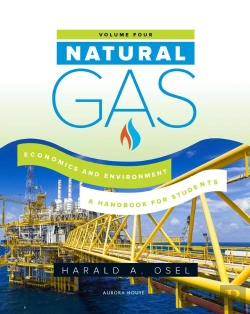 Bertrand.pt - Natural Gas: Economics And Environment