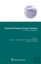 Natural Gas Flaring & Energy Transition