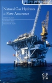 Natural Gas Hydrates In Flow Assurance