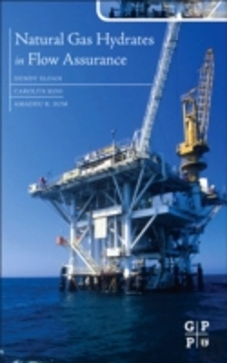 Bertrand.pt - Natural Gas Hydrates In Flow Assurance