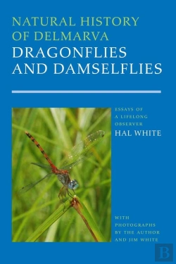 Bertrand.pt - Natural History Of Delmarva Dragonflies And Damselflies