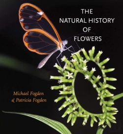 Bertrand.pt - Natural History Of Flowers