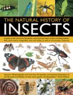 Bertrand.pt - Natural History Of Insects