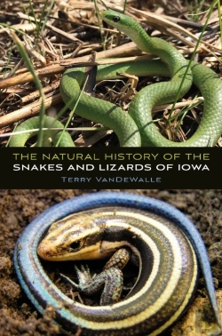 Bertrand.pt - Natural History Of The Snakes And Lizards Of Iowa