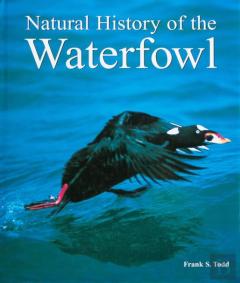 Natural History Of The Waterfowl