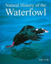 Natural History Of The Waterfowl