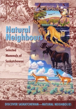 Bertrand.pt - Natural Neighbours