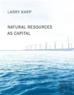 Natural Resources As Capital