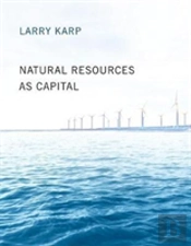 Natural Resources As Capital