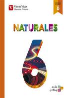 Naturales 6 Madrid (Aula Activa)