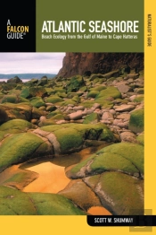 Naturalist'S Guide To The Atlantic Seashore