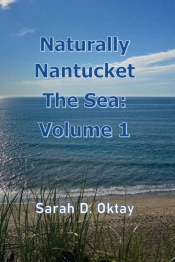 Naturally Nantucket The Sea