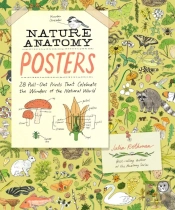 Nature Anatomy Posters