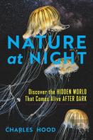 Nature At Night