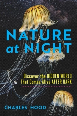 Bertrand.pt - Nature At Night